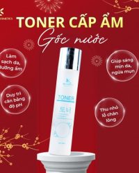 Toner Tết 2025