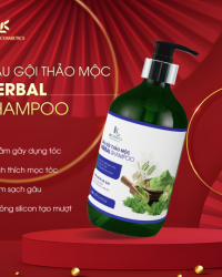 Dầu gội Tết 2025